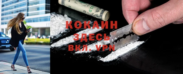 шишки Козельск