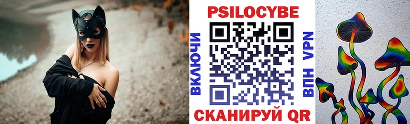 блэк спрут ссылки  Опочка  Галлюциногенные грибы Psilocybe  купить закладку 